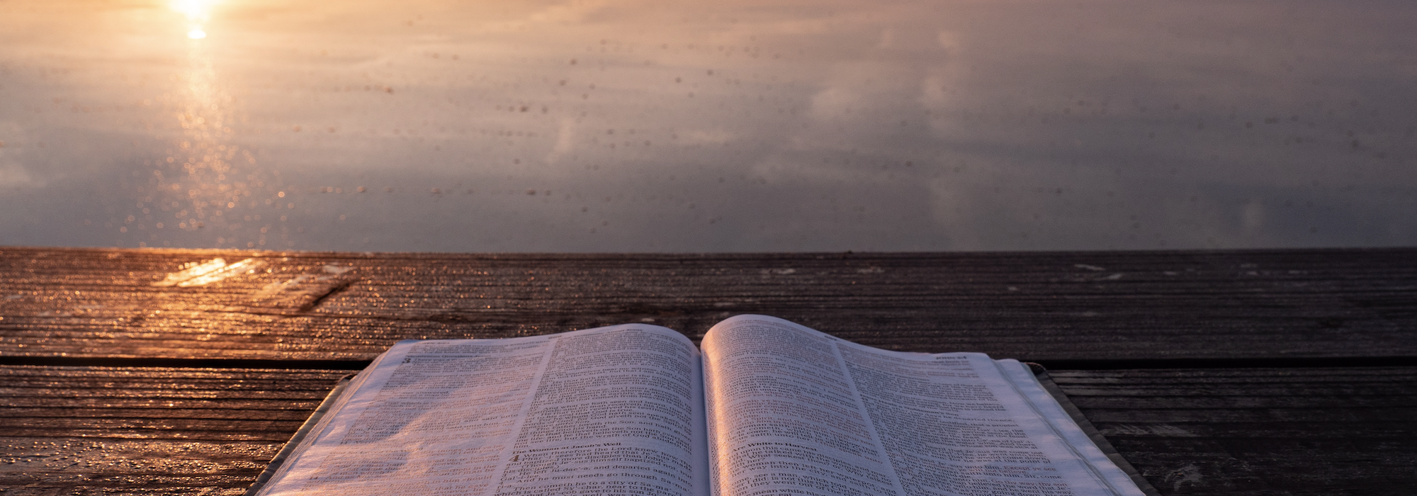 Open Book at Sunrise